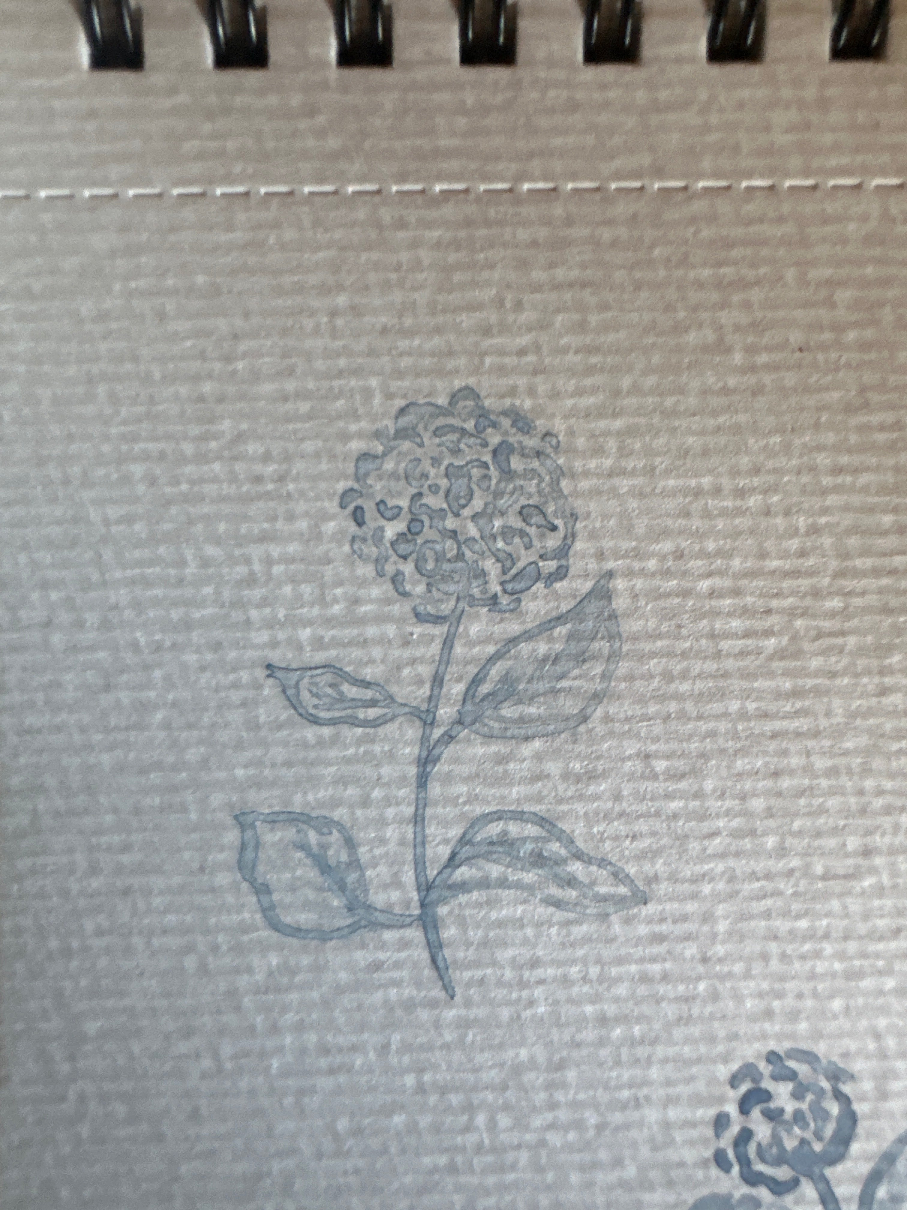 Hand painted hydrangea watercolor artwork